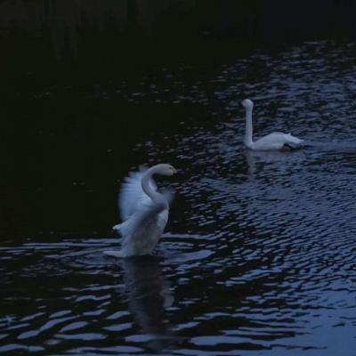 星空体育app下载手机版