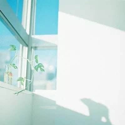 天天中彩票app下载